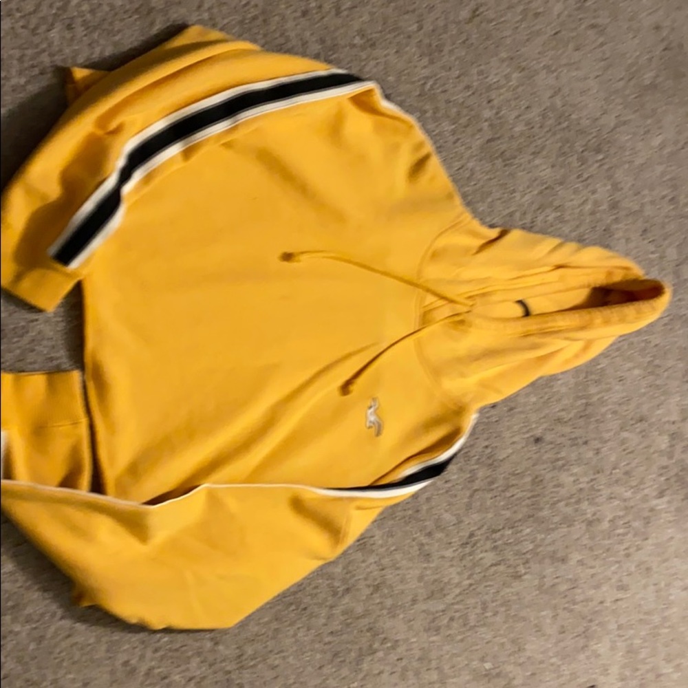 Hollister cropped hoodie.